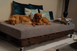 Eine Couch aus Paletten