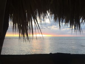 Sonnenuntergang vor der Haustür