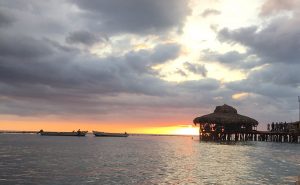 Pelican Bar Treasure Beach
