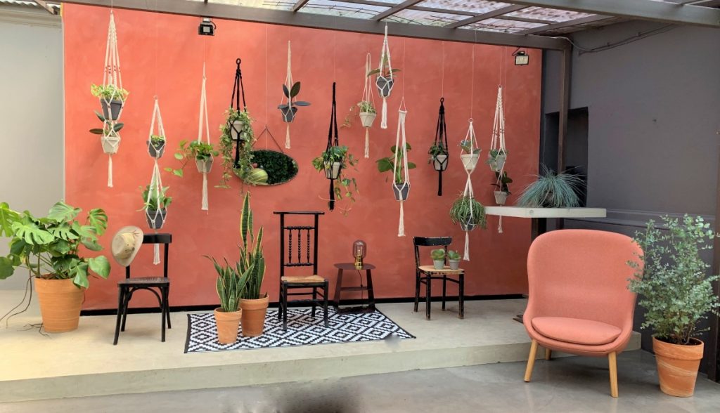 Urban jungle in Bonn