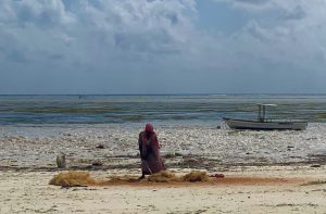 Kokosbearbeitung durch die Frauen