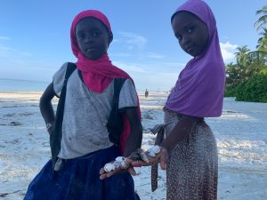 meine kleinen Freundinnen bringen mir Muscheln