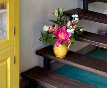 in dunkel lasiert zieht es top aus