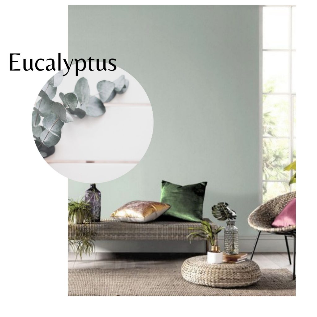 wandfarbe eucalyptus