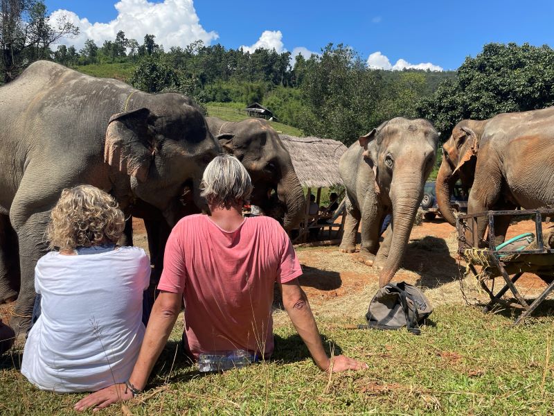 Reisetipp: 14 Tage Elefantencamp in Thailand